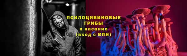прущий лед Инта