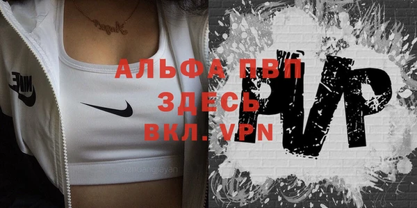 мяу мяу мука Инсар