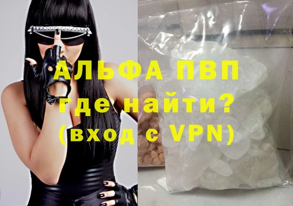 мяу мяу мука Инсар