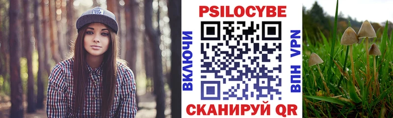 Купить где  Верхотурье  Псилоцибиновые грибы Cubensis 
